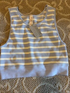 Anthropologie Light Blue and White Striped Ribbed Crop Tank